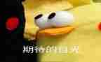 期待作文5篇