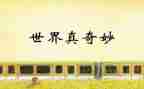 奇妙个读后感7篇