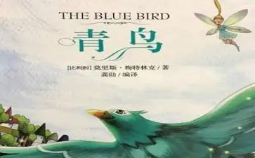读后感青鸟500字6篇