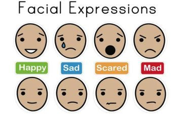 有关情绪的心得体会5篇