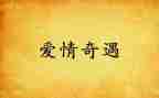 作文木偶奇遇记400字8篇