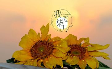 幼儿园七月工作总结6篇