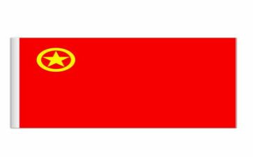 光辉的旗帜读后感7篇