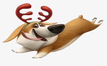 犬只买卖合同最新5篇