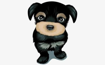 犬只买卖合同推荐6篇