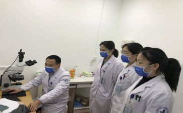 2024年安全科长述职报告6篇