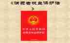 权益部工作总结7篇