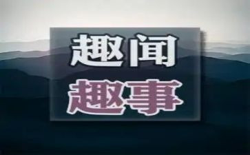 写暑假趣事的作文400字模板8篇