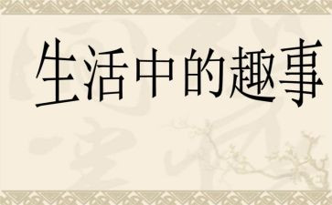 我家的趣事作文400字6篇
