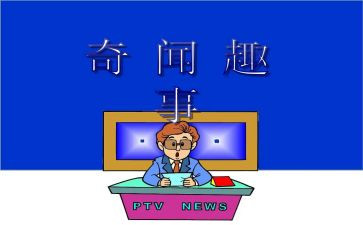 写暑假趣事的作文600字5篇