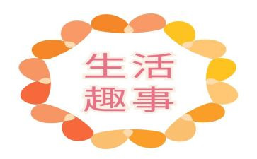 写暑假趣事的作文800字5篇