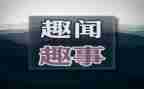 写暑假趣事的作文400字模板8篇