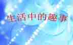 暑假趣事作文400字作文5篇