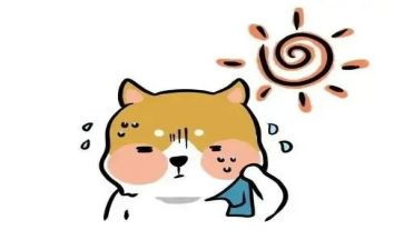 幼儿园冷与热教案模板7篇