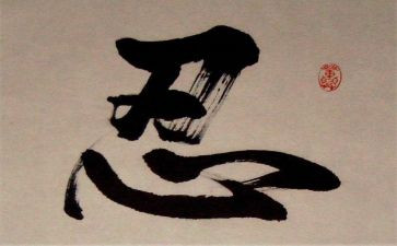 忍与争作文800字5篇