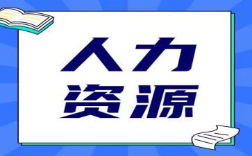 2024年人力工作总结精选6篇