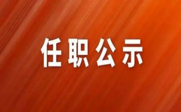 任职前述职报告范文8篇