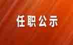 任职培训总结个人总结5篇
