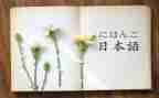 坊日语读后感6篇