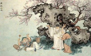 《儒林外史》读后感300字最新6篇