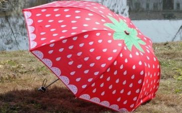 爱心雨伞活动策划7篇