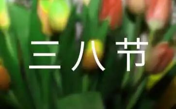 2024学校三八妇女节活动总结5篇