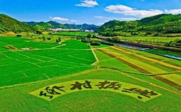 三农工作心得体会范文7篇