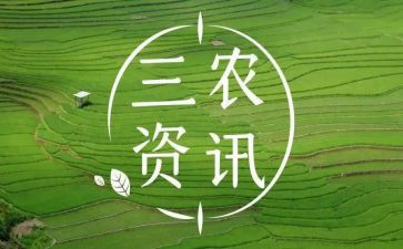 县三农问题调研报告5篇