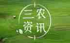 县三农问题调研报告5篇