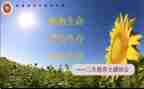 高三生物教师教学反思6篇