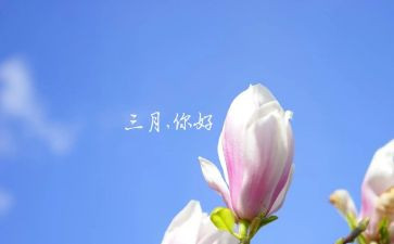 中班三月份工作总结最新8篇