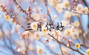 三月学校活动总结8篇