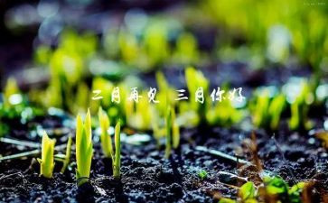三月思想汇报6篇