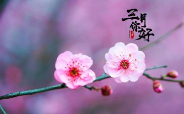 中班三月份工作总结8篇