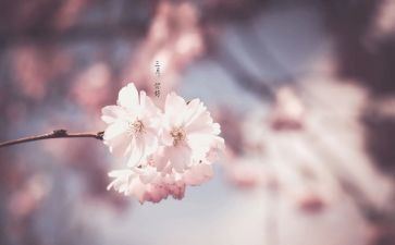 大班三月工作总结6篇