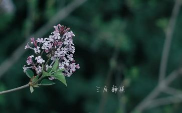 二三月销售工作计划6篇