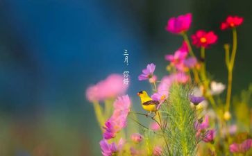 三月份的工作总结精选8篇