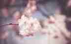 幼儿园小班三月份工作总结7篇