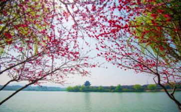 三月三的教案6篇