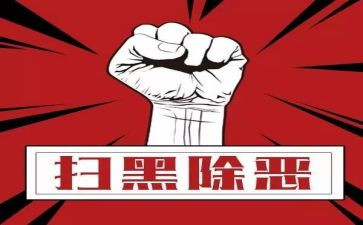 2024年度扫黑除恶工作总结6篇