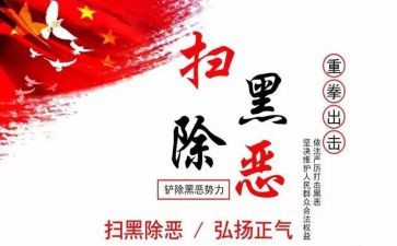 2024-2024年扫黑除恶工作总结8篇