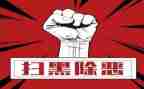 2024年度扫黑除恶工作总结6篇