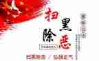 2024-2024年扫黑除恶工作总结8篇