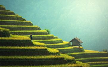 扫墓学生演讲稿8篇
