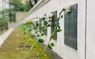 扫墓作文优秀作文最新7篇