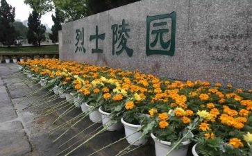 扫墓的活动方案8篇