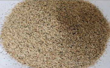 教师沙龙活动方案5篇