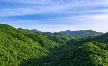 爬山这作文最新7篇