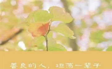 慈善作文5篇