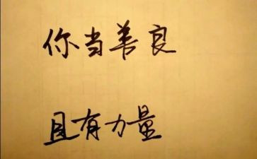 善文化作文800字8篇